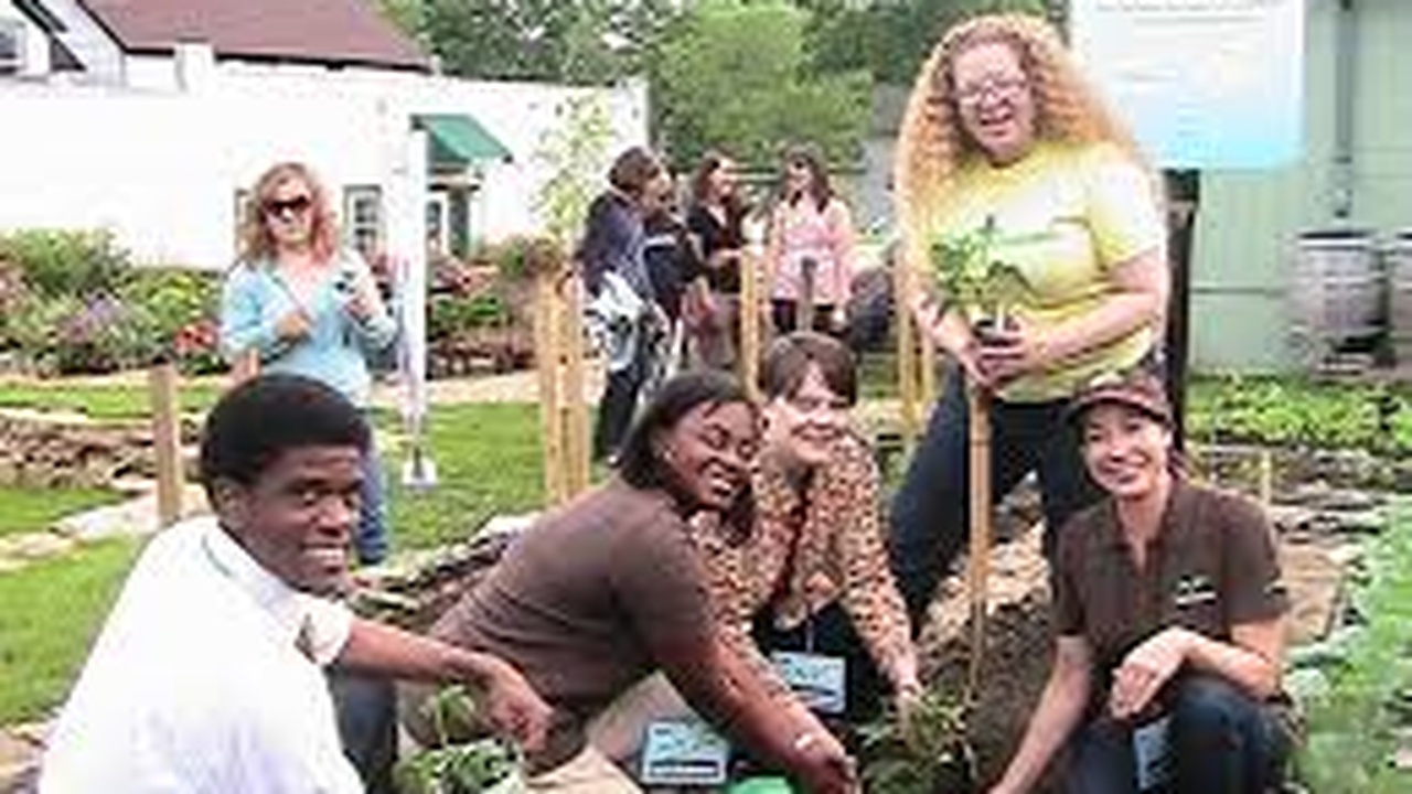 Volunteers planting together at an Urban Farming community garden