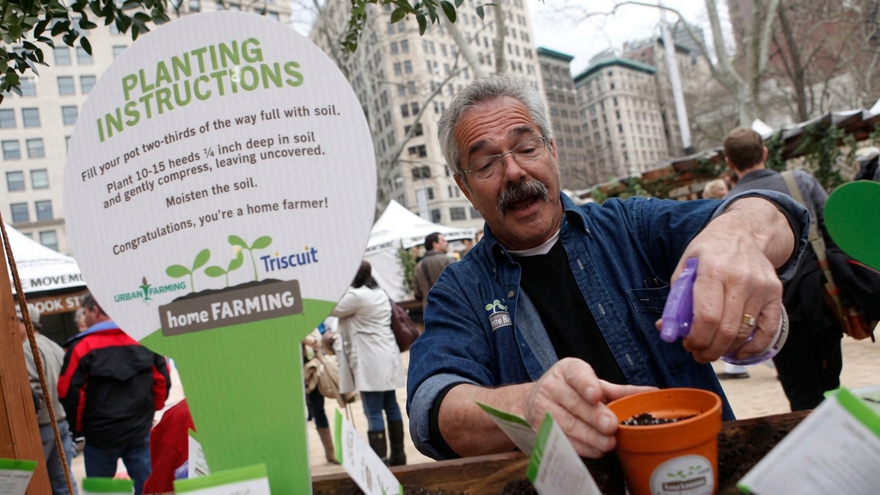 A man planting seeds at a Home Farming Day station in Madison Square Park, beside planting instructions signage